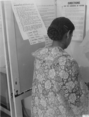 voting, photography, ph