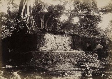 Langis' or tombs of the Tongan Kings