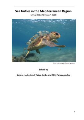 Sea turtles in the Mediterranean region - MTSG regional report 2018