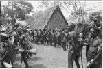 Pig festival, uprooting cordyline ritual, Tsembaga: men make stylized aggressive charge and dance in front of government rest house, near clan boundary