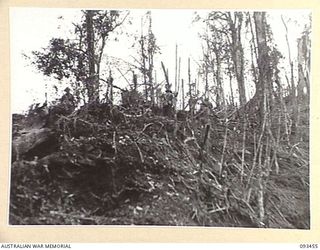 WEWAK AREA, NEW GUINEA, 1945-06-27. TROOPS OF 2/8 INFANTRY BATTALION ADVANCING UP THE SIDE OF THE FEATURE DURING THE FINAL ASSAULT ON HEAVILY DEFENDED JAPANESE POSITIONS ON MOUNT SHIBURANGU