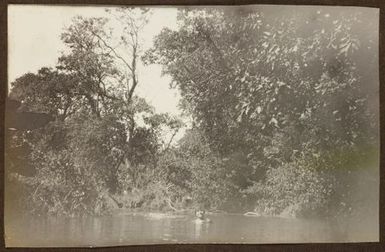 Woman bathing in river. From the album: Samoa