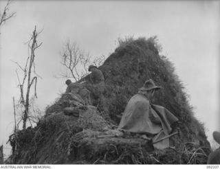 SHAGGY RIDGE, NEW GUINEA. 1943-12-27. TROOPS OF THE 2/16TH AUSTRALIAN INFANTRY BATTALION, 21ST AUSTRALIAN INFANTRY BRIGADE ENTRENCHED ON THE RAZOR BACK LEADING TO THE "PIMPLE" AFTER ITS CAPTURE ..
