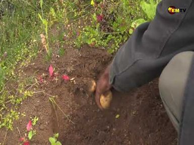 PNG TO FOCUS ON AGRICULTURE