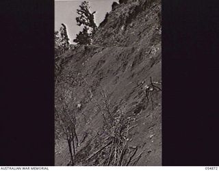 BULLDOG-WAU ROAD, NEW GUINEA, 1943-07-20. BENCHED PORTION OF THE ROAD IN UNSTABLE COUNTRY CONSTRUCTED BY TROOPS OF HEADQUARTERS, ROYAL AUSTRALIAN ENGINEERS, 11TH AUSTRALIAN DIVISION