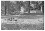 Stone mounds on north west slope inland, Alesia.