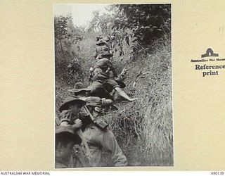 DAGUA, NEW GUINEA. 1945-03-27. 2/2 INFANTRY BATTALION STRETCHER BEARERS LEAVE B COMPANY HQ EN ROUTE TO A FORWARD COMPANY WHO ARE ATTACKING ENEMY POSITIONS. THE STEEPNESS, A GRADE OF 2 IN 1, ..