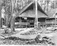 Ninth General Hospital. World War II. New Guinea.