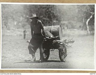 POM POM VALLEY, NEW GUINEA. 1943-11-27. QX3009 PRIVATE D. G. ROBINSON OF THE 18TH AUSTRALIAN INFANTRY BRIGADE HAULING A LOAD OF WOOD AND DRUMS ON A HOME MADE CART