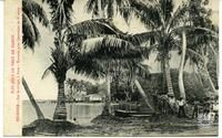 Iles Sous le Vent de TahitiHuahine. - Sur le rivage, à Fare - Travaux pour l’entretien de la route