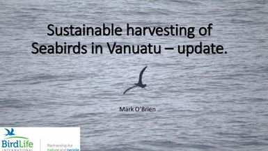 Sustainable harvesting of seabirds in Vanuatu - update