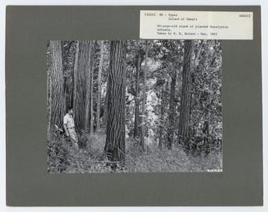 Timber Management: Types - Hawaii