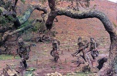 Members of the 1ST Battalion, 35th Infantry, 2nd Brigade, 25th Infantry Division, wearing protective face masks head out from the landing zone during an airmobile combat assault. The troops are participating in the training Exercise OPPORTUNE JOURNEY 4-83 at the US Army`s Pohakuloa Training Area