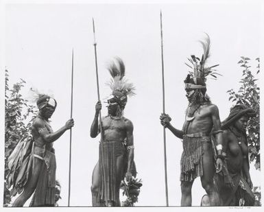 Warriors in the Western Highlands Province, Papua New Guinea, 1969 / Axel Poignant
