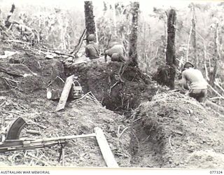 TOROKINA AREA, BOUGAINVILLE ISLAND. 1944-11-29. TROOPS OF NO.18 PLATOON, D COMPANY, 9TH INFANTRY BATTALION DIGGING IN ON LITTLE GEORGE HILL AFTER CAPTURING THE FEATURE FROM THE ENEMY