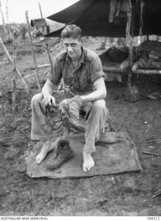 MOLONEY'S RIDGE, WEWAK, NEW GUINEA. 1945-07-13. PRIVATE T.G.O. SMITH, 13 PLATOON, A COMPANY, 2/5 INFANTRY BATTALION, CLEANING THE MUD OFF HIS BOOTS AFTER A COMPANY'S SUCCESSFUL ASSAULT ON THE ..