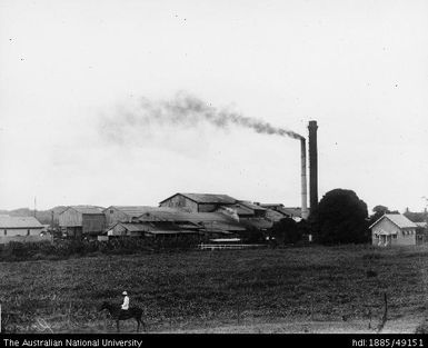 Rarawai Mill from road