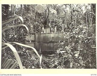 WAREO, PAPUA, NEW GUINEA, 1944-03-29. AUSTRALIAN TROOPS ENJOYING A SHOWER BATH AT B COMPANY, 4TH FIELD AMBULANCE REST CAMP, LOCATED IN MOUNTAINS 2,000 FEET ABOVE SEA LEVEL. THE UNIT PROVIDES ..