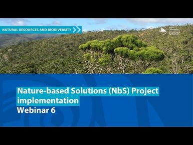 Webinar 6 Implementing NbS: From Plans to Practice