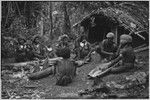 Pig festival, uprooting cordyline ritual, Tsembaga: men strip seeds from pandanus fruit, watched by others, woman in center holds bamboo water container