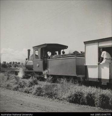 Cane Train