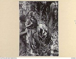 BOUGAINVILLE, 1945-07-12. LANCE-CORPORAL A.G. DAWSON (1), AND PRIVATE E. YEWDALL (2), MEMBERS OF 42 INFANTRY BATTALION LOOKING AT A JAPANESE MEMORIAL POST ON A GRAVE SOUTH OF THE MOBIAI RIVER. THE ..