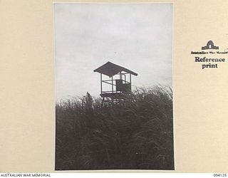 BUNA, NEW GUINEA, 1945-07-03 TO 1945-07-04. THE JAPANESE OBSERVATION POST AT THE JAPANESE AIRSTRIP