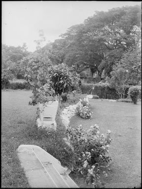 Square pot on a low pedestal, Chinnery's garden, Malaguna Road, Rabaul, New Guinea, ca. 1935 / Sarah Chinnery