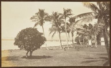 Foreshore. From the album: Samoa