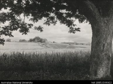 Farmers crops