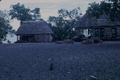 [Thatched dwellings in Safotu, Samoa]
