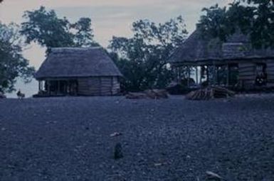 [Thatched dwellings in Safotu, American Samoa] BRIT-A-AR003-004-01-069