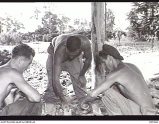 TOROKINA, BOUGAINVILLE, 1945-12-03. GUNNER E. A. BALLENTINE (1) MAJOR H. C. KELLY (2) AND DRIVER R. W. FORBES (3) GAINING PRACTICAL EXPERIENCE IN CONCRETE DRAIN MAKING AT THE TOROKINA ..