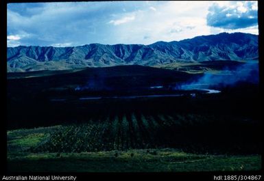 Geoff Wallace's plantation, Lower Asaro