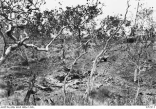PORT MORESBY, NEW GUINEA. 1943-09-07. PARTS OF THE WREAKAGE OF A LIBERATOR BOMBER WHICH HIT A TREE DURING THE EARLY HOURS OF TAKE OFF ON 1943-09-07. IT CAUSED THE DEATH OF 59 MEN AND INJURIES TO AN ..