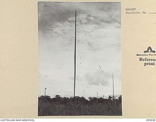 LAE AREA, NEW GUINEA, 1945-06-15. IMPROVISED AERIAL MASTS AT 19 L OF C SIGNALS. THIS SHOWS THE METHOD OF GUYING THE MASTS WHICH ARE FORMED FROM SECTIONAL STEEL TELEGRAPH POLES AT THE CORPS OF ..