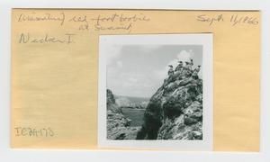 [Red-foot boobies, envelope IE29-178]