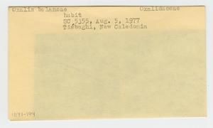 [Oxalis balansae in New Caledonia, envelope IE41-194]