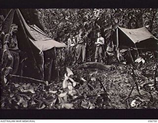 SALAMAUA AREA, NEW GUINEA. 1943-07-22. WARD (LEFT) AND LIVING QUARTERS OF THE 2/2ND AUSTRALIAN FIELD AMBULANCE. LEFT TO RIGHT: NX45916 DRIVER (DR) A. T. BRIDGER; TX402 PRIVATE D. R. STRUTHERS; ..