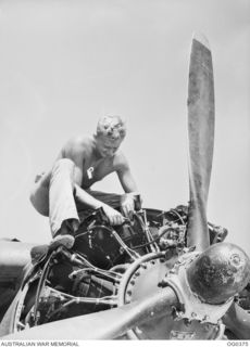 KIRIWINA, TROBRIAND ISLANDS, PAPUA. C. 1943-12. LEADING AIRCRAFTMAN L. H. JOHNS OF HILLSTON, NSW, CHECKS ONE OF THE TWO WRIGHT CYCLONE MOTORS OF A BOSTON BOMBER AIRCRAFT OF NO. 22 SQUADRON RAAF