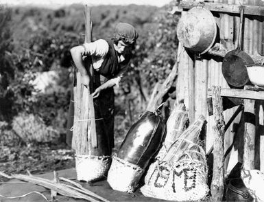 Mrs S Burke placing bark around kelp/flax bags of salted mutton birds, at Solomon Island