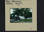 [View of children standing in rows], New Ireland, [Papua New Guinea, c1960 to 1965]