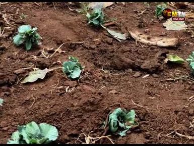 FARMING HARDHSIP