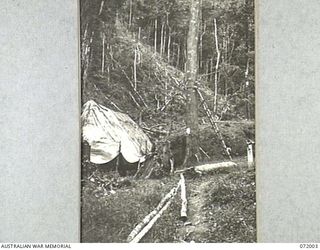 IMITA, NEW GUINEA. 1944-04-30. A LARGE TREE IN USE BY THE 18TH AUSTRALIAN LINES OF COMMUNICATION SIGNALS. THE TREE ONCE FORMED PART OF AN ENTRANCE TO A YOUNG MEN'S CHRISTIAN ASSOCIATION HOSTEL AND ..