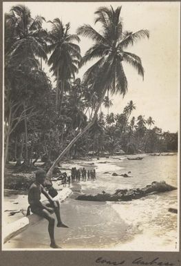 Coast, Ambasi, [children walking along beach and a man sitting on a tree branch] Frank Hurley