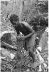 Elota's younger son Ngadaaga'e plants stakes for a garden fence