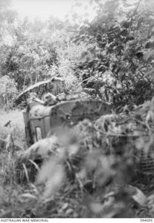 SANANANDA TRAIL, NEW GUINEA, 1945-06-28. A SHELLED JAPANESE TRUCK AND JAPANESE BONES AT THE SIDE OF THE SANANANDA TRAIL