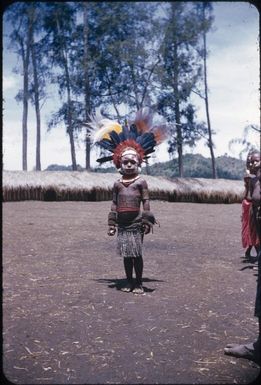 Decorated children (1) : The Tengerap Clan Singsing, Wahgi Valley, Papua New Guinea, 1954 / Terence and Margaret Spencer