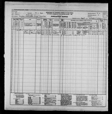 1940 Census Population Schedules - Hawaii - Maui County - ED 5-2