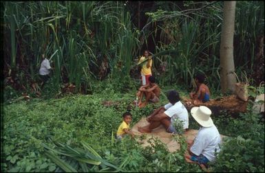 Group preparing flax, Mauke